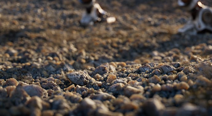 SSS vo V-Ray 6 pre 3dsmax